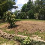  - Cutler Cuts - Tree Service & Landscaping in PA - GALLERY - Cutler Cuts - 