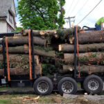 - Cutler Cuts - Tree Service & Landscaping in PA - GALLERY - Cutler Cuts - 