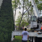  - Cutler Cuts - Tree Service & Landscaping in PA - GALLERY - Cutler Cuts - 