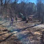 - Cutler Cuts - Tree Service & Landscaping in PA - GALLERY - Cutler Cuts - 