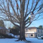Emergency Tree Care - Cutler Cuts - Tree Service & Landscaping in PA - GALLERY - Cutler Cuts - 