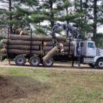  - Cutler Cuts - Tree Service & Landscaping in PA - GALLERY - Cutler Cuts - 