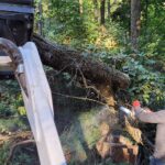  - Cutler Cuts - Tree Service & Landscaping in PA - GALLERY - Cutler Cuts - 