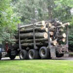  - Cutler Cuts - Tree Service & Landscaping in PA - GALLERY - Cutler Cuts - 