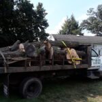  - Cutler Cuts - Tree Service & Landscaping in PA - GALLERY - Cutler Cuts - 