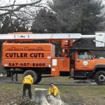  - Cutler Cuts - Tree Service & Landscaping in PA - GALLERY - Cutler Cuts - 