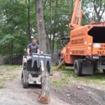  - Cutler Cuts - Tree Service & Landscaping in PA - GALLERY - Cutler Cuts - 