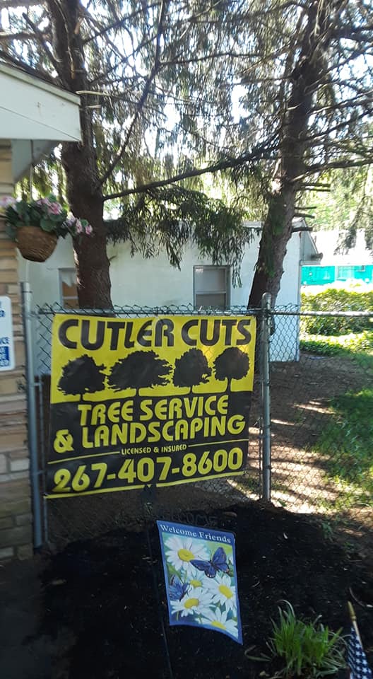 Professional Tree Cutting Service - Cutler Cuts - Tree Service & Landscaping in PA - Professional Tree Cutting Service | Tree Services in PA - 