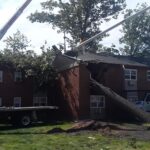  - Cutler Cuts - Tree Service & Landscaping in PA - GALLERY - Cutler Cuts - 