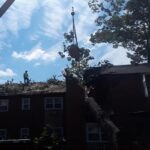  - Cutler Cuts - Tree Service & Landscaping in PA - GALLERY - Cutler Cuts - 