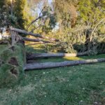 - Cutler Cuts - Tree Service & Landscaping in PA - GALLERY - Cutler Cuts - 