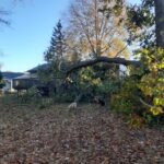  - Cutler Cuts - Tree Service & Landscaping in PA - GALLERY - Cutler Cuts - 