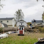  - Cutler Cuts - Tree Service & Landscaping in PA - GALLERY - Cutler Cuts - 