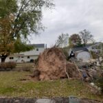  - Cutler Cuts - Tree Service & Landscaping in PA - GALLERY - Cutler Cuts - 