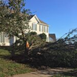 Landscaping Near Me - Cutler Cuts - Tree Service & Landscaping in PA - GALLERY - Cutler Cuts - 