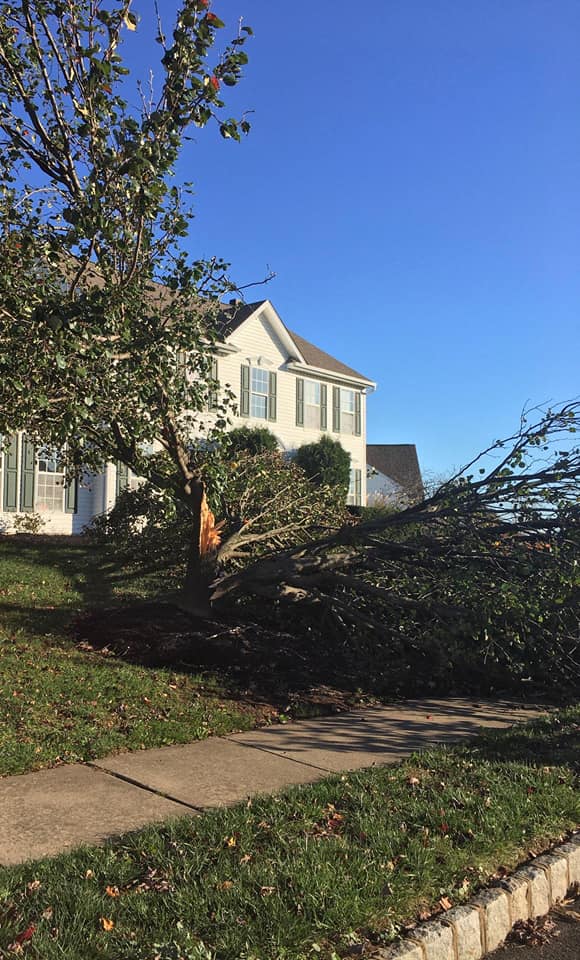 Landscaping Near Me - Cutler Cuts - Tree Service & Landscaping in PA - Landscaping Near Me, | Top Seasonal Landscaping - 