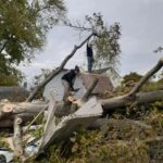  - Cutler Cuts - Tree Service & Landscaping in PA - GALLERY - Cutler Cuts - 