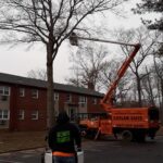  - Cutler Cuts - Tree Service & Landscaping in PA - GALLERY - Cutler Cuts - 