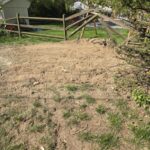  - Cutler Cuts - Tree Service & Landscaping in PA - GALLERY - Cutler Cuts - 