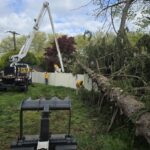  - Cutler Cuts - Tree Service & Landscaping in PA - GALLERY - Cutler Cuts - 